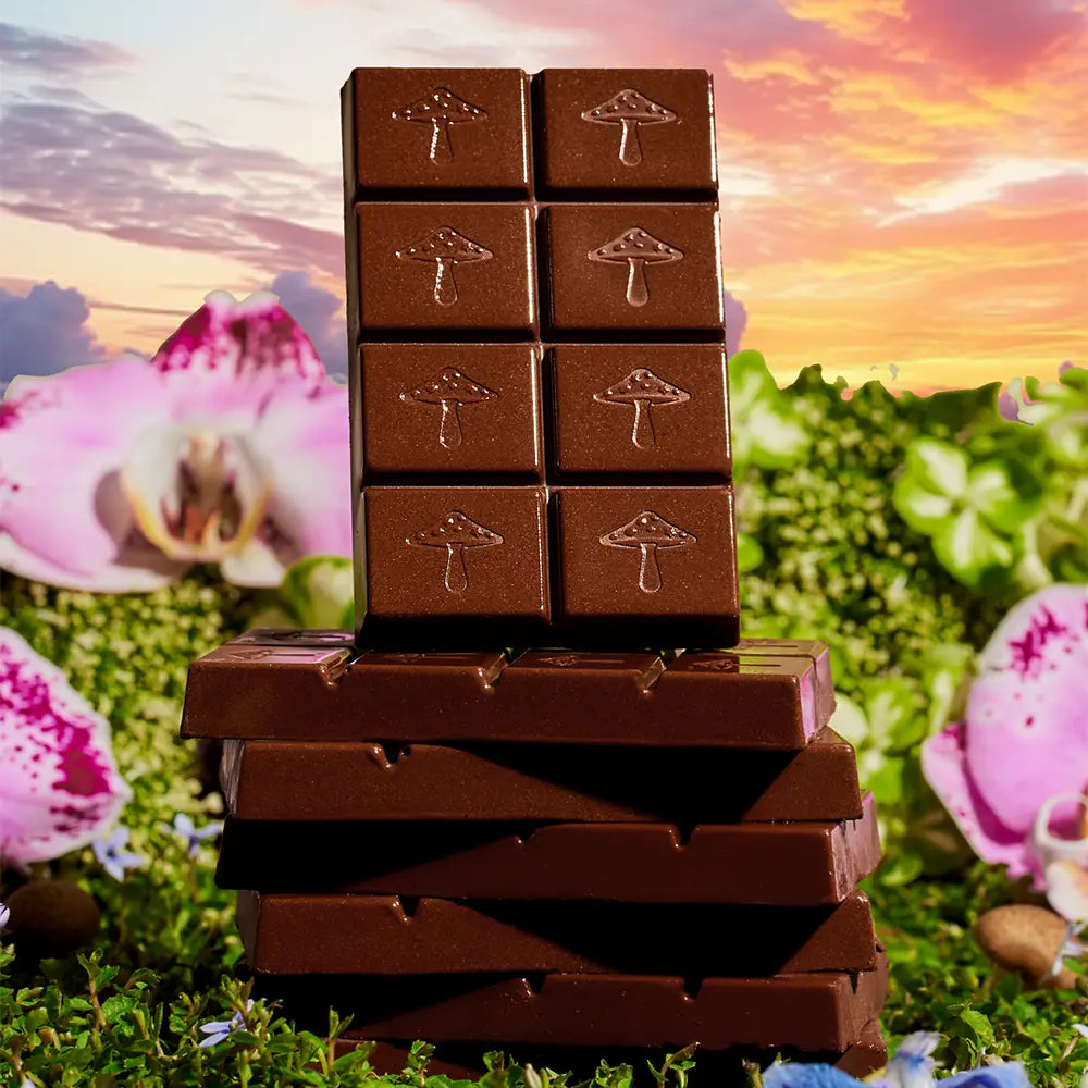 Happy Ending - Mushroom Chocolate for Arousal